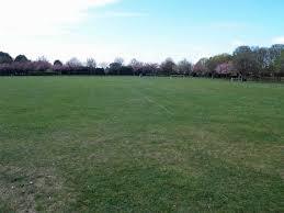 Haverstoe Park